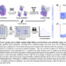 Chai Discovery Team Releases Chai-2: AI Model Achieves 16% Hit Rate in De Novo Antibody Design